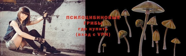 MESCALINE Верхний Тагил