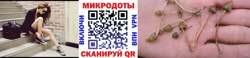 продажа наркотиков  Ангарск  Галлюциногенные грибы Cubensis 